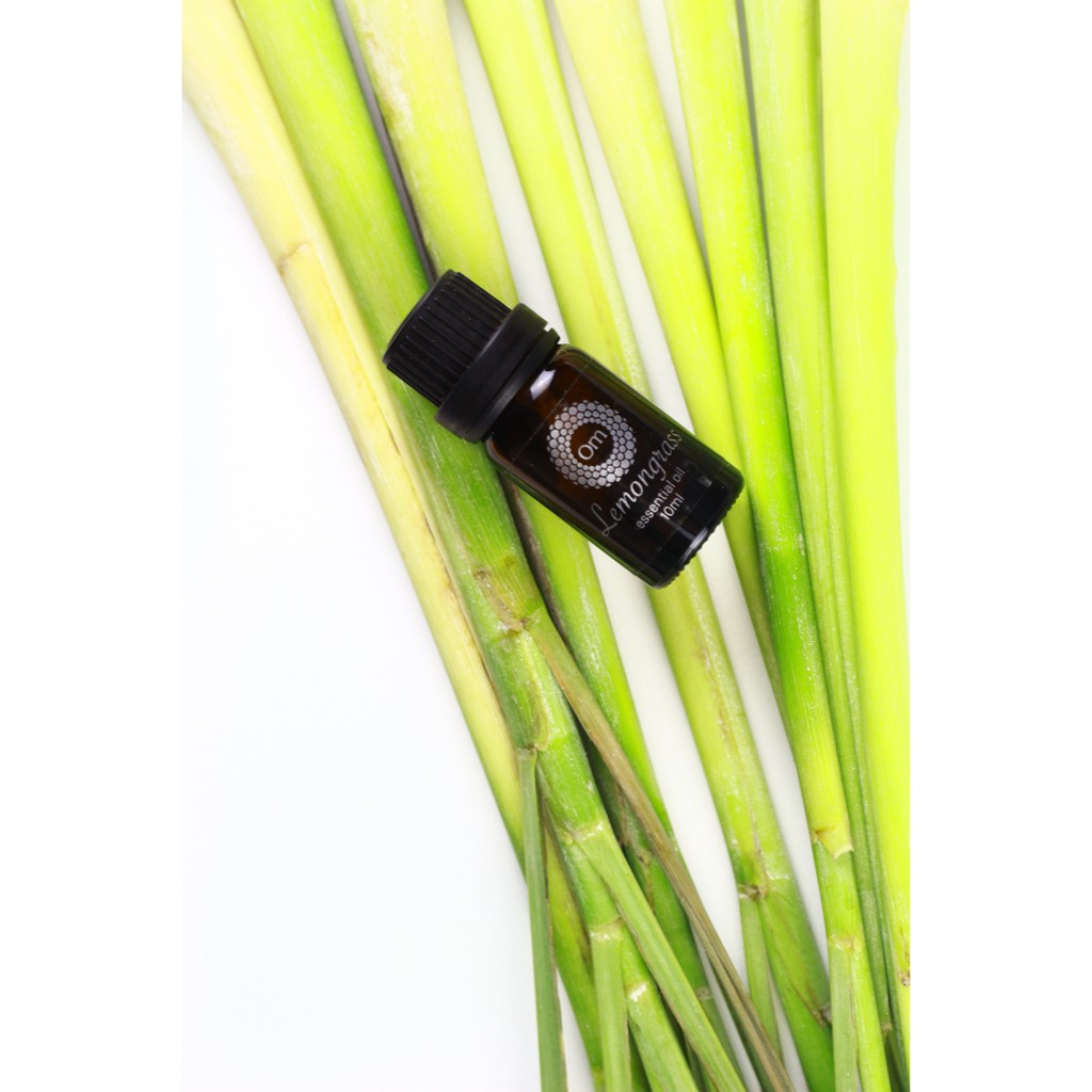 Tinh dầu Sả chanh Lemongrass 10ml - Om Fountain