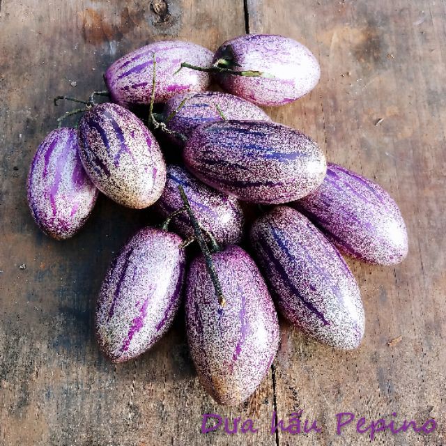 Chậu cây Dưa Pepino Tím  trái ngọt và thơm - Trang Flower