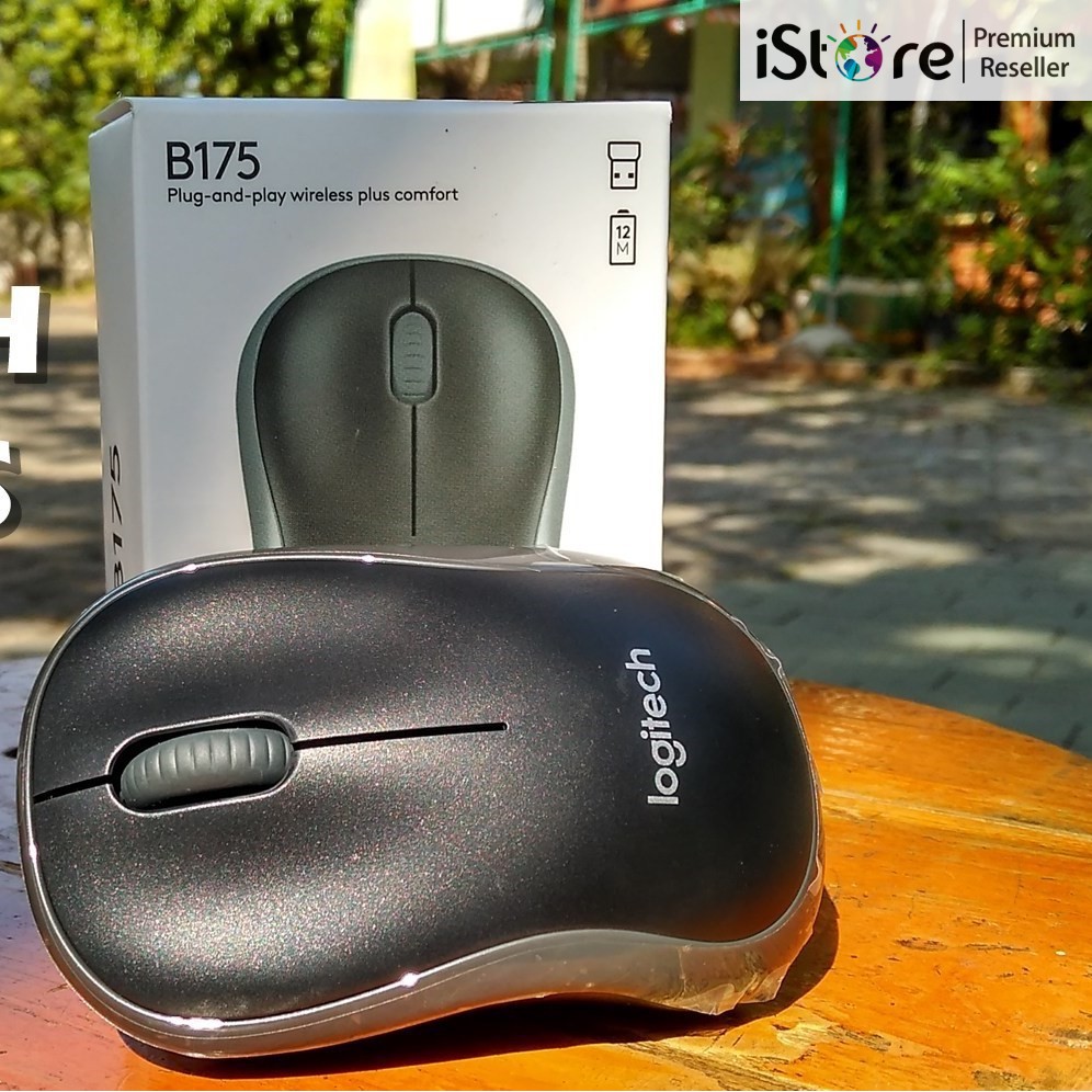 Chuột Không dây Logitech B175/Mouse Wireless Logitech B175