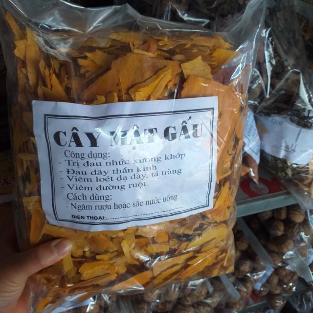 CÂY MẬT GẤU