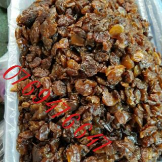 Nhãn nhục Hưng Yên --date 2024