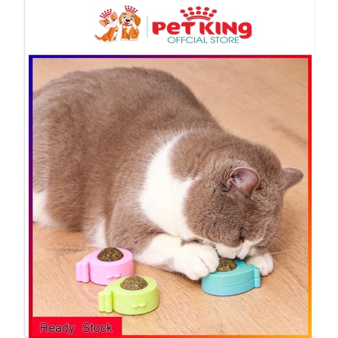 Cỏ Mèo dạng viên tròn lăn gắn tường cho Mèo yêu