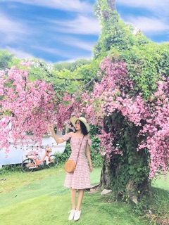 Váy caro vintage bánh bèo 💗