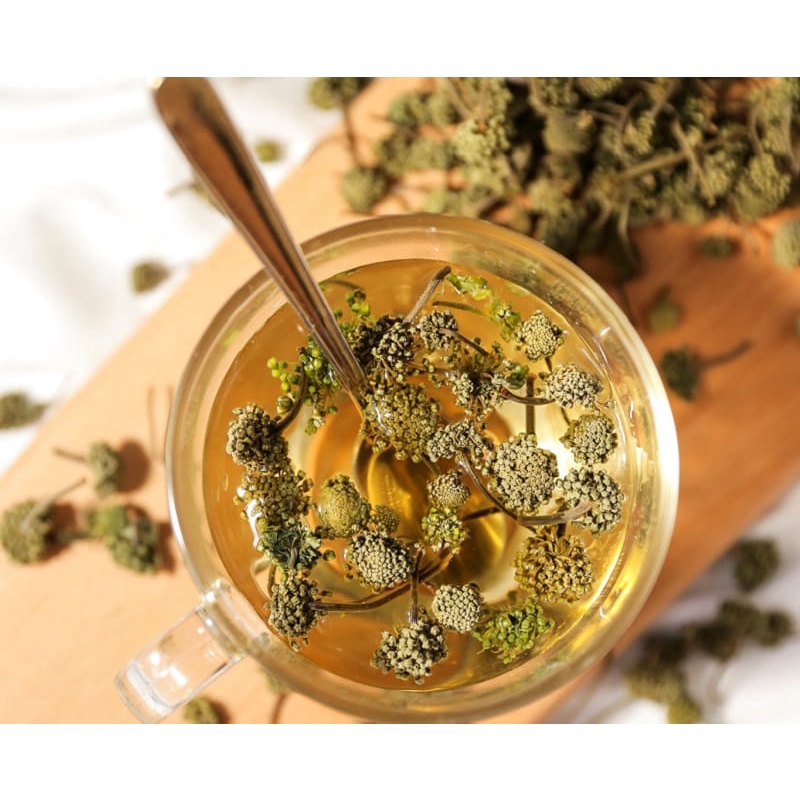 100 gram nụ tam thất loại 1 anh đẹp _ trathaomocsi