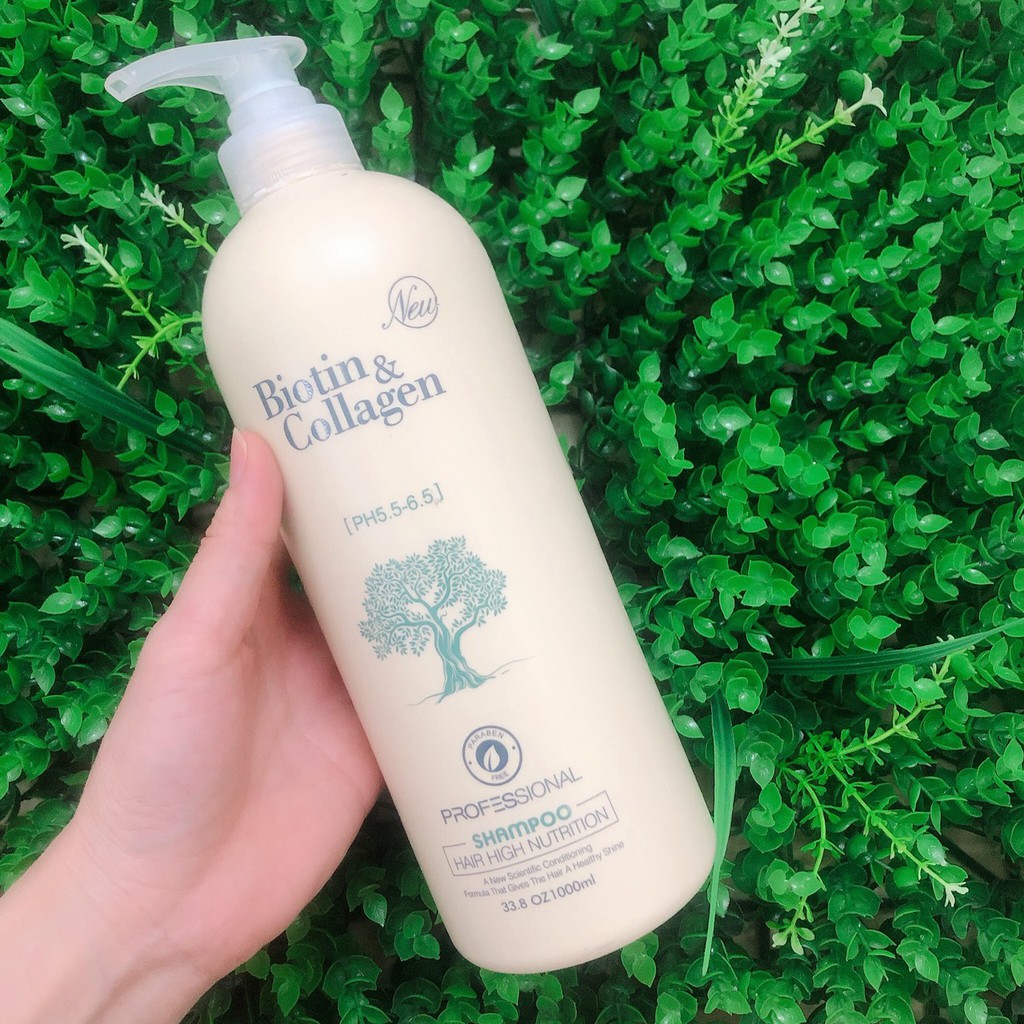 [Chính hãng] [Giá sỉ] Dầu gội Biotin collagen Pasiori TM cho tóc khô hư tổn (trắng) 1000ml | BigBuy360 - bigbuy360.vn