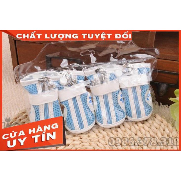 Giầy cho chó mèo, giày xuân hè cho thú cưng - Giầy thể thao kẻ sọc [ĐƯỢC KIỂM HÀNG]