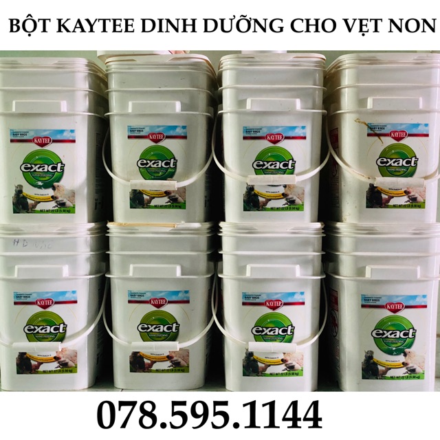 500G | BỘT KAYTEE DINH DƯỠNG ĐÚT CHIM NON