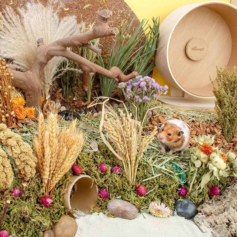 NITEANGEL Cành Cắm Ngũ Cốc Chuồng Hamster