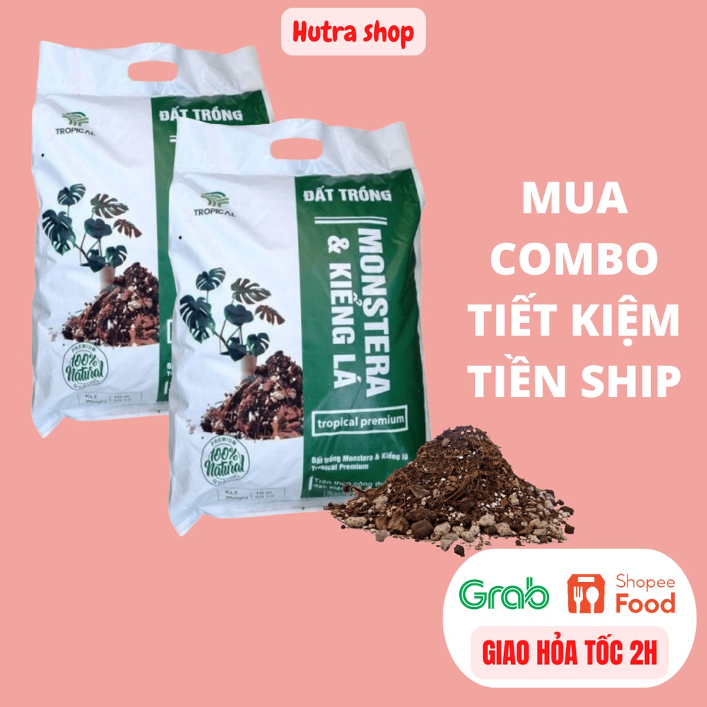 Combo 2 túi đất trồng kiểng lá Monstera
