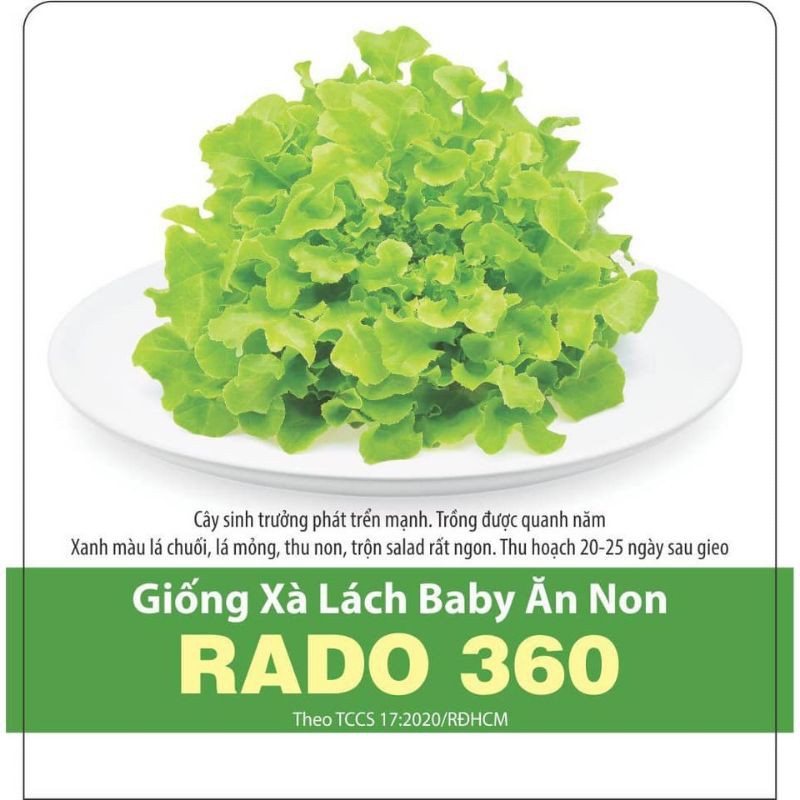 (Rau ngắn ngày) Hạt giống xà lách baby ăn non_ Gói 10gr