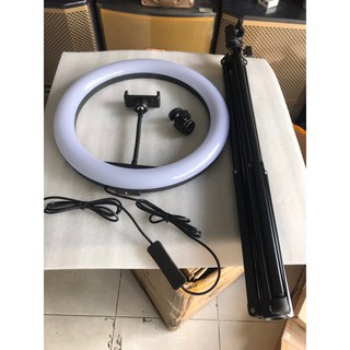 Đèn livstrem bán hàng size 33cm