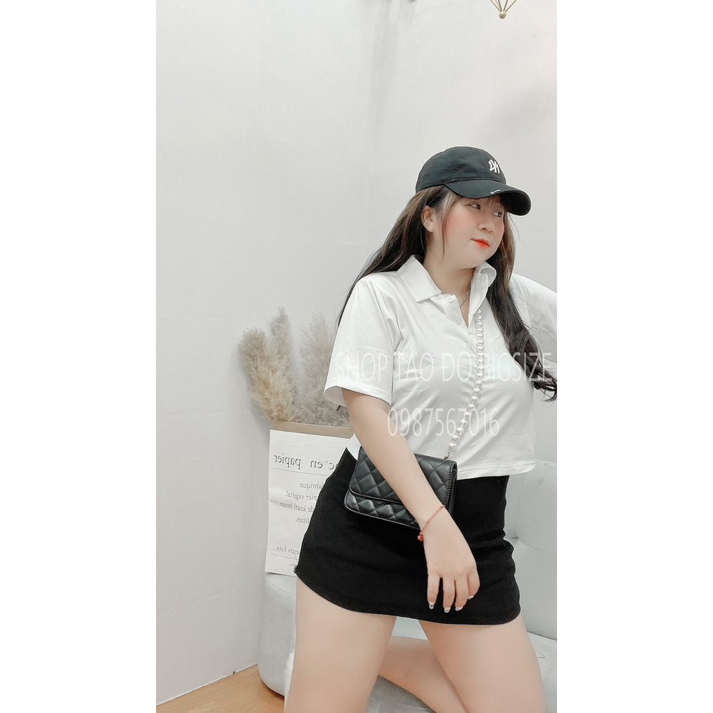 (TÁO ĐỎ BIGSIZE 55-90KG) ÁO THUN NỮ POLO CROPTOP SIÊU XINH ĐỦ MÀU DỄ PHỐI  ( ẢNH THẬT SHOP CHỤP 100%) 🥰🥰🥰 | BigBuy360 - bigbuy360.vn