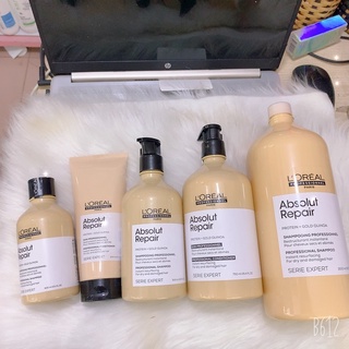 Dầu gội + Dầu xả phục hồi tóc hư tổn Loreal Serie Expert Absolut Repair Protein