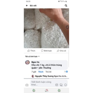 bột sắn dây