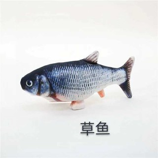 Cá Nhảy Sạc Điện