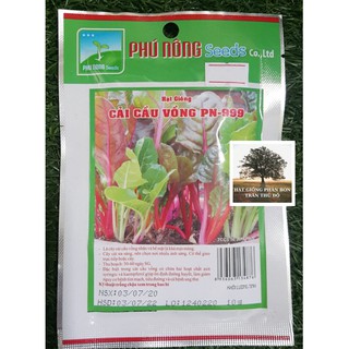 HẠT GIỐNG CẢI CẦU VỒNG PHÚ NÔNG