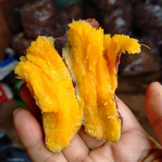 Combo khoai mật 10 kg