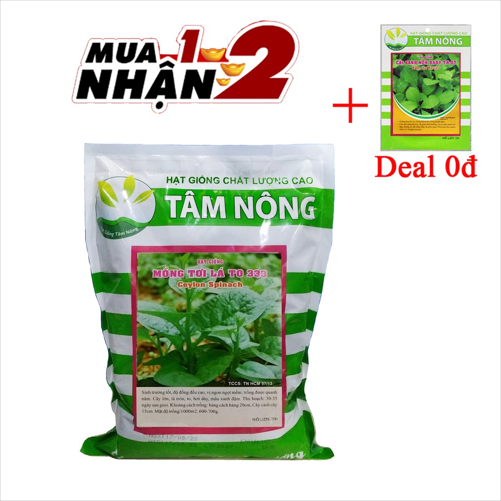 [Túi Lớn 1Kg] Hạt Giống Mồng Tơi Dễ Trồng, Rau Sạch Ban Công, Dưỡng Da, Nhuận Tràng, Lưu Thông Khí Huyết