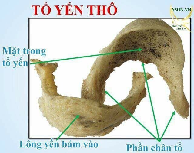 Set 50gr Hồng yến thô/tổ yến thô +🎁