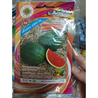 [Big Sale] 25H - Hạt giống dưa hấu tròn không hạt Thái Lan