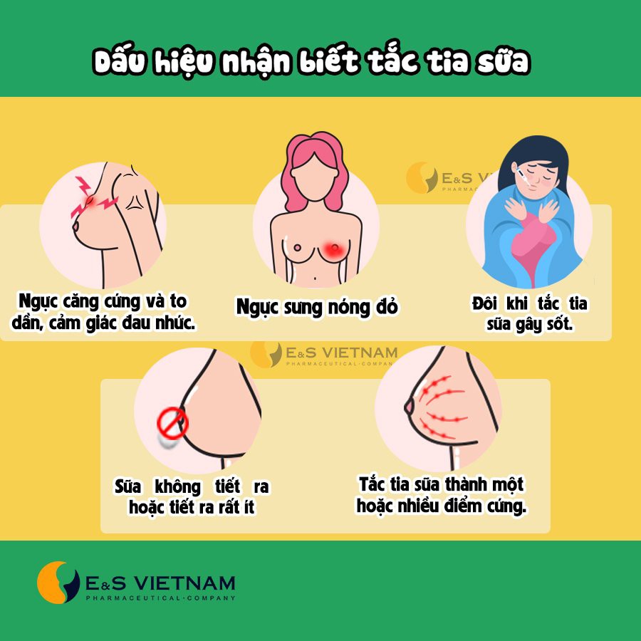 Trà Gọi Sữa Sau Sinh Mổ - Thông Tắc Tia Sữa IMA Cho Mẹ Sau Sinh - Mát Sữa, Đẩy Sản Dịch, Chống Táo Bón Cho Mẹ và Bé