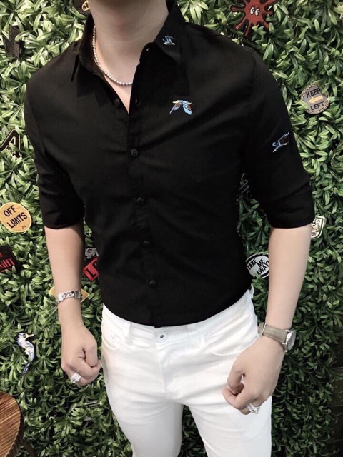 Áo Sơmi Lụa Họa Tiết Chim Thêu | BigBuy360 - bigbuy360.vn