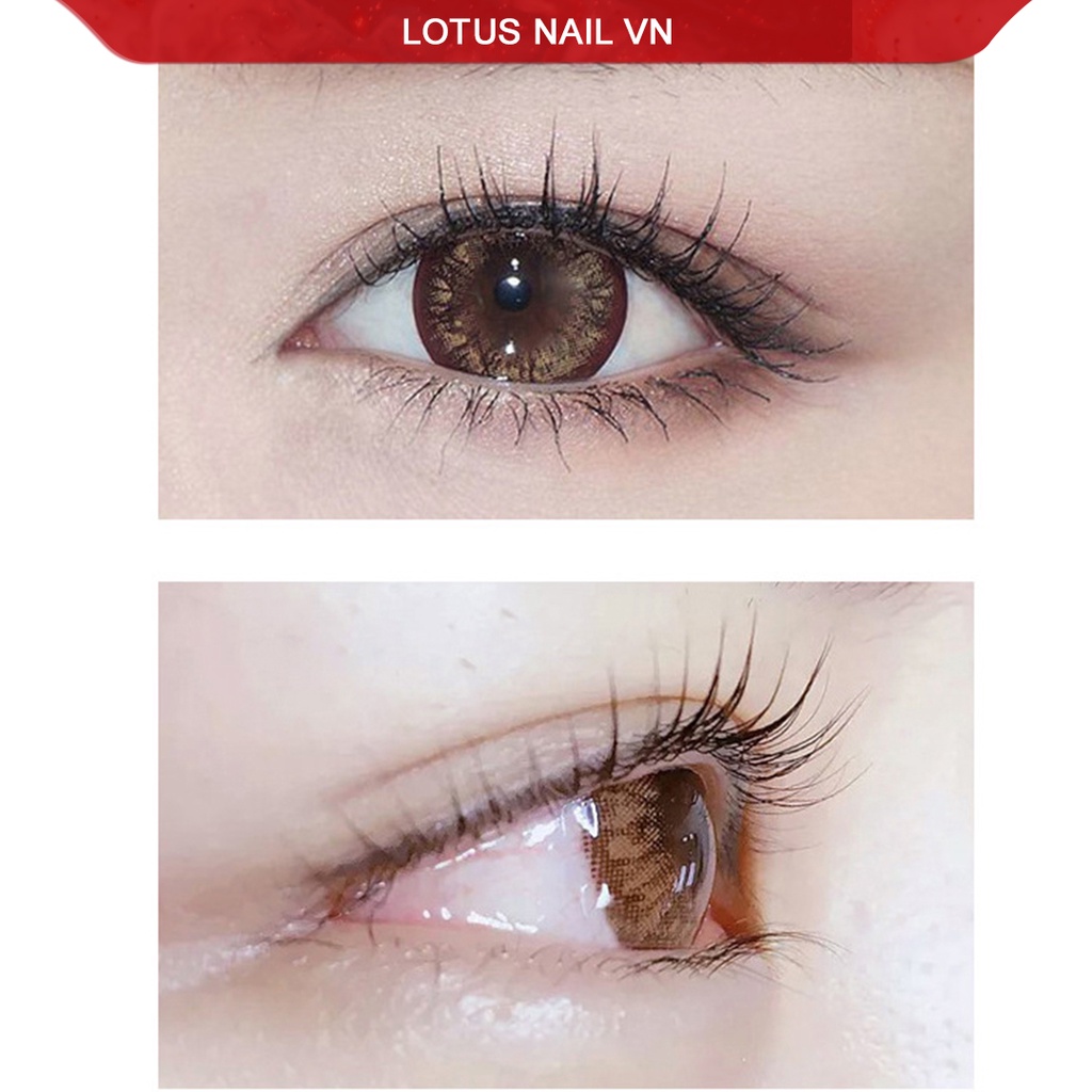 Set uốn mi colagen 3D Lashlift Hàn Quốc