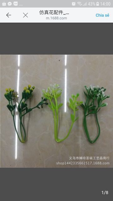 1 kg cỏ điểm ngẫu nhiên