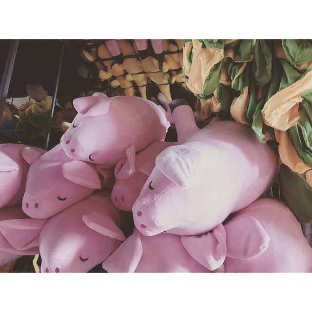Heo hồng 85cm