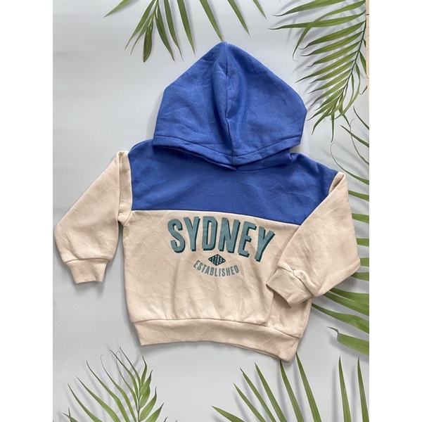 Áo nỉ, hoodie bé trai, bé gái Hát Mờ Authentic 5-16kg.