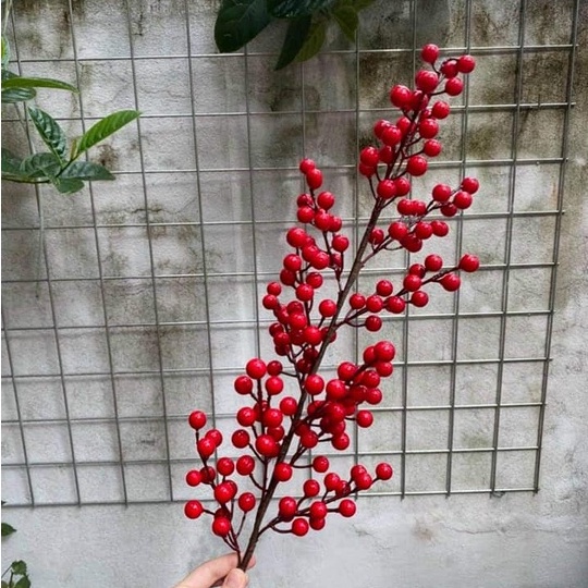 Giá sỉ cành đào đông đỏ 12 nhánh trưng tết, hàng đẹp to tròn Yenyen Shop