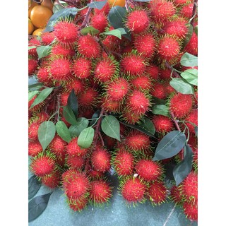 chôm chôm giả mô hình 9 trái 1 chùm ..