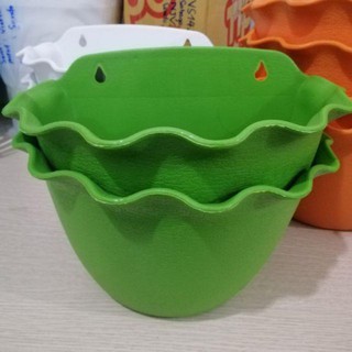 chậu trồng cây treo ốp tường