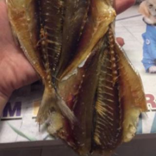 1kg Cá chỉ siêu to, siêu dày