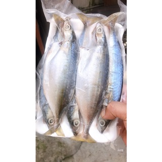 Cá Bạc Má Tươi,1kg[Ship hỏa tốc Hà Nội]