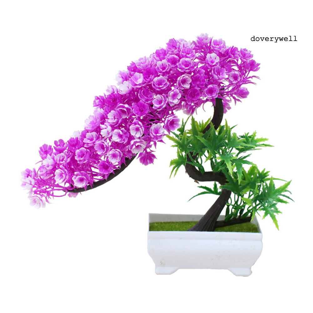Đồ trang trí chậu cây bonsai mini bằng nhựa dùng trang trí