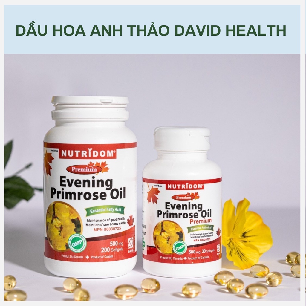 Evening Primrose Oil - VIÊN UỐNG DẦU HOA ANH THẢO CÂN BẰNG NỘI TIẾT TỐ NỮ - DAVID HEALTH - CANADA