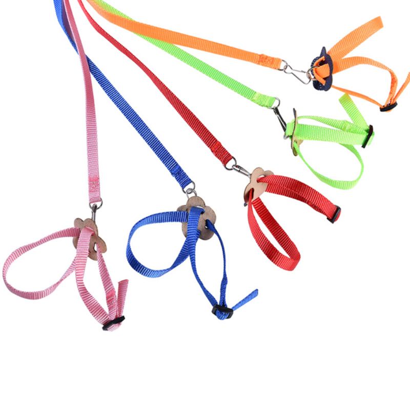 Dây Xích Huấn Luyện Chim Vẹt Hình Số 8 Tùy Chỉnh Tiện Dụng