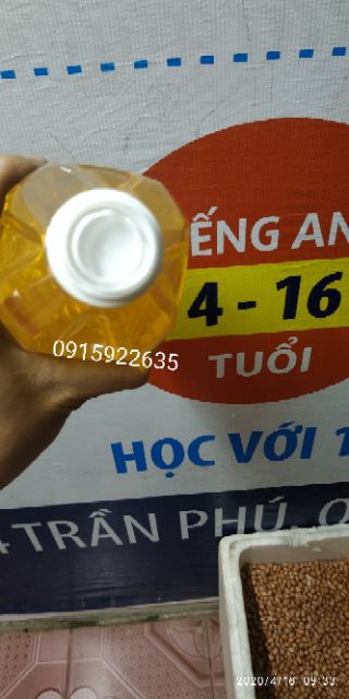 1l Dầu lạc (phộng) nguyên chất ép lạnh