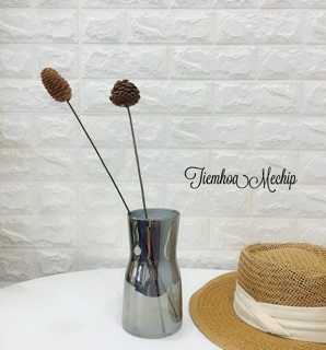 [ HÀNG CÓ SẴN ] 🌰Quả thông khô cắm lọ hoa🌰