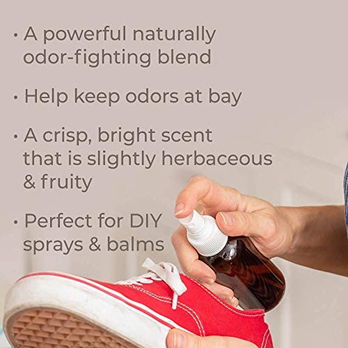 Plant Therapy – Tinh Dầu Synergy Giúp Khử Mùi Deodorizing– Khử mùi ẩm mốc phòng ngủ, nhà vệ sinh, tủ giày, mùi cơ thể