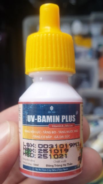 UV-BAMIN PLUS TĂNG NỘI LỰC, TĂNG BO, TĂNG CƠ BẮP