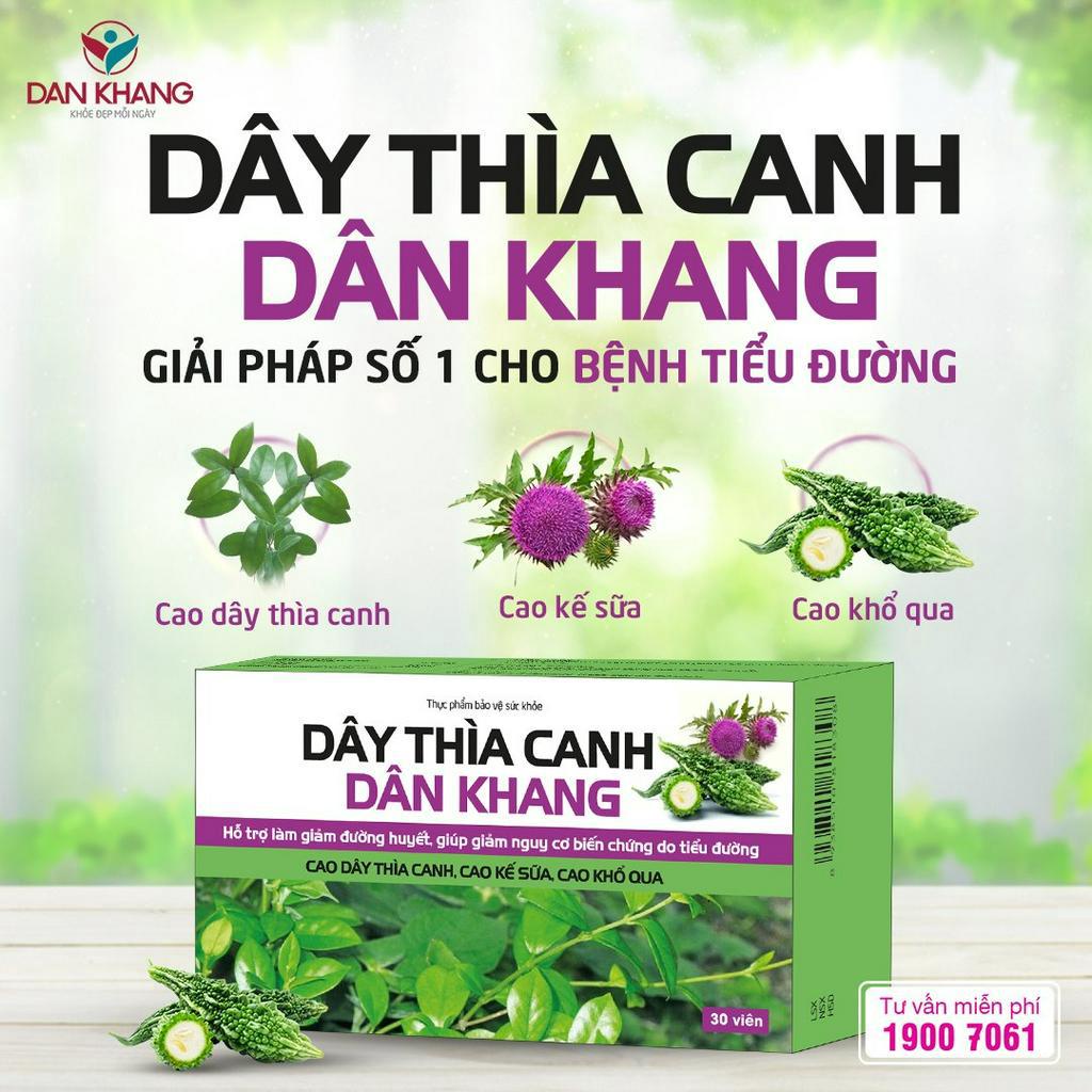 Dây Thìa Canh Dan Khang Hộp 30v