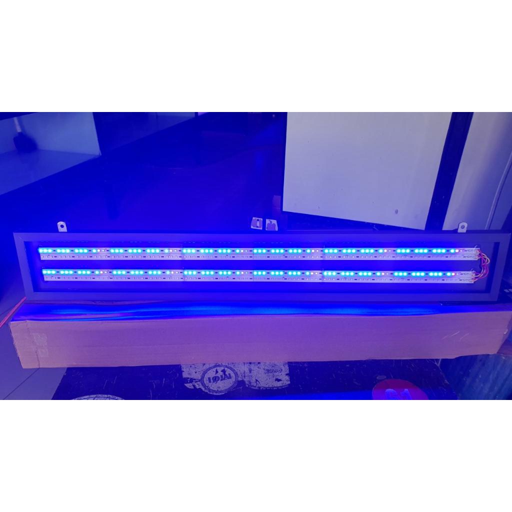 Đèn LED BLUE Chuyên Dụng TANNING Cho Cá Rồng Với 4 Dãy Led Kích Thước 1m, 1m2, 1m5