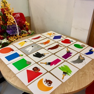 Flash card Glenn Doman Thẻ học khổ A5
