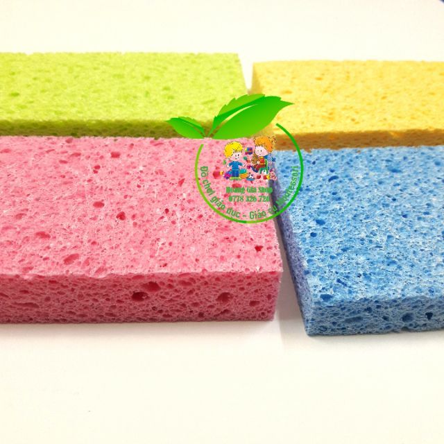 THCS - Bọt biển Cellulose Sponges