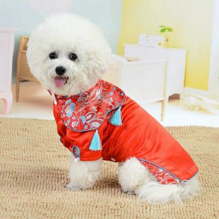 Áo Tết thuê hoa cho thú cưng