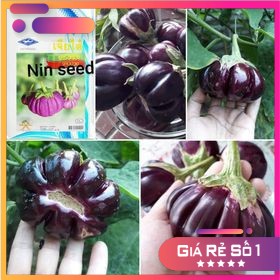 300H - HẠT GIỐNG CÀ TÍM MÚI THÁI LAN - HGNK