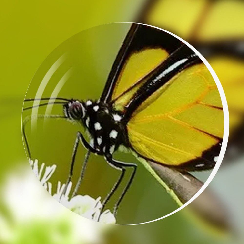 Kính đọc sách gọng nhựa PC chống ánh sáng xanh siêu nhẹ nhiều màu sắc lựa chọn