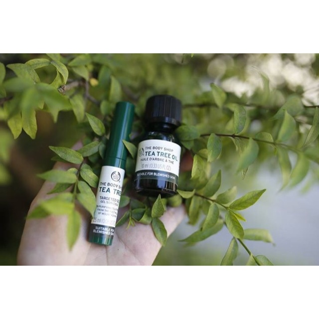 Tea tree